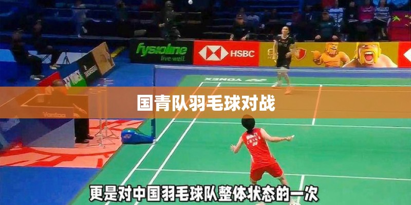 国青队羽毛球对战