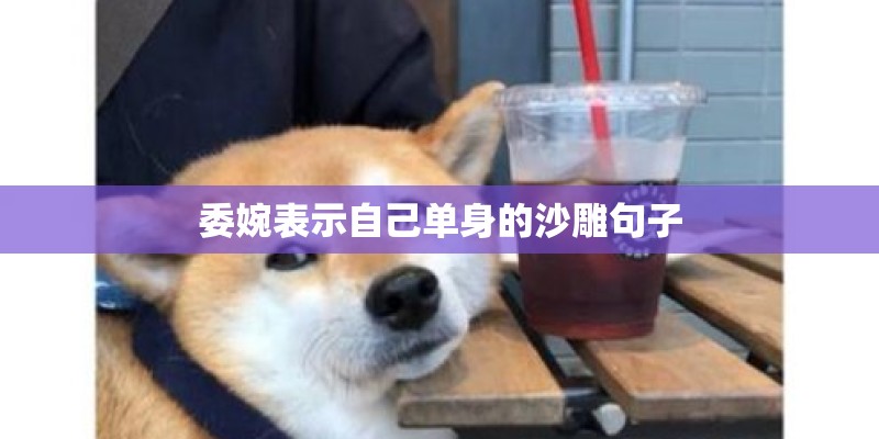 委婉表示自己单身的沙雕句子