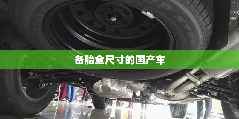 备胎全尺寸的国产车