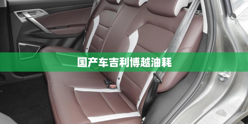 国产车吉利博越油耗 国产车吉利博越油耗