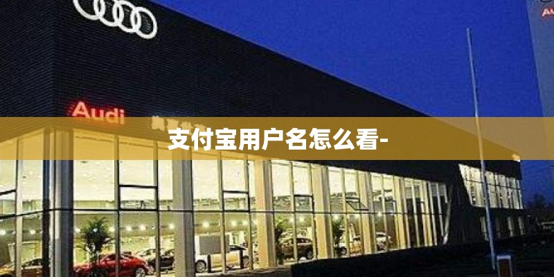 支付宝用户名怎么看- 支付宝用户名怎么看-