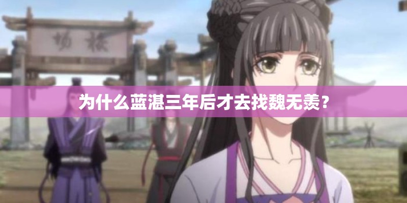 为什么蓝湛三年后才去找魏无羡？