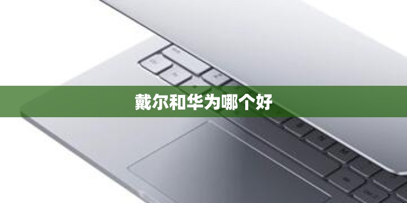 戴尔和华为哪个好