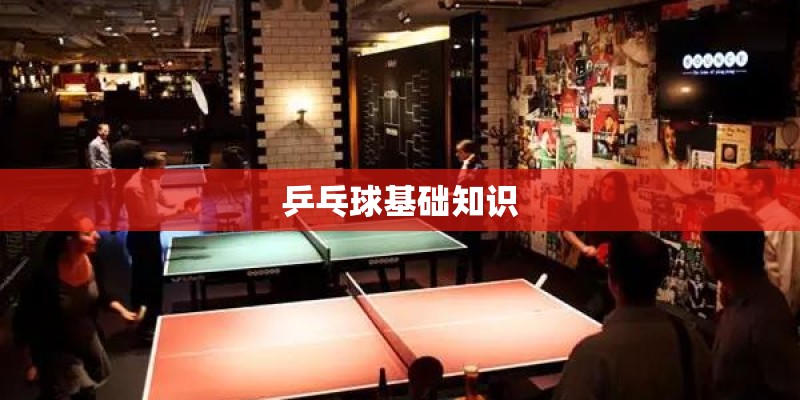 乒乓球基础知识 乒乓球基础知识