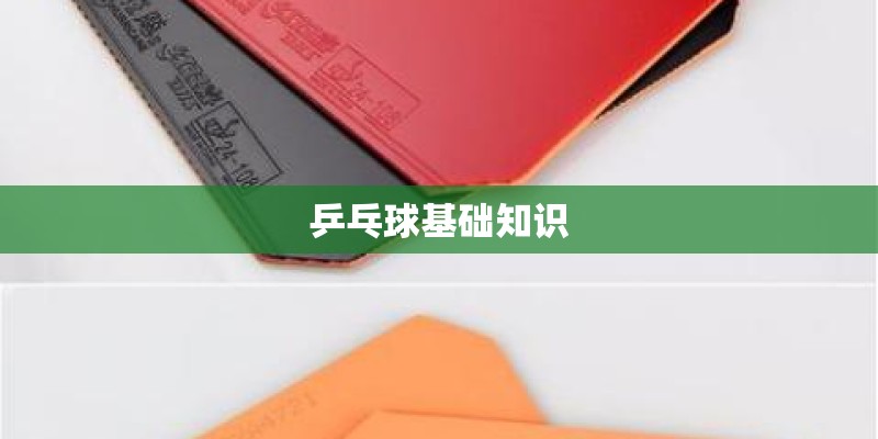 乒乓球基础知识 乒乓球基础知识