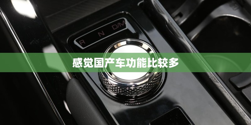 感觉国产车功能比较多