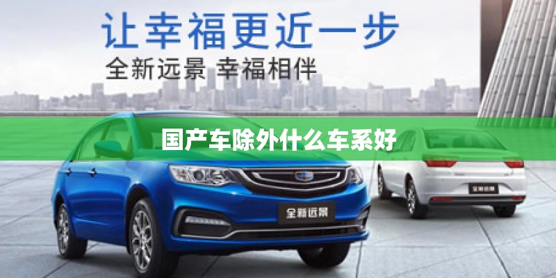 国产车除外什么车系好