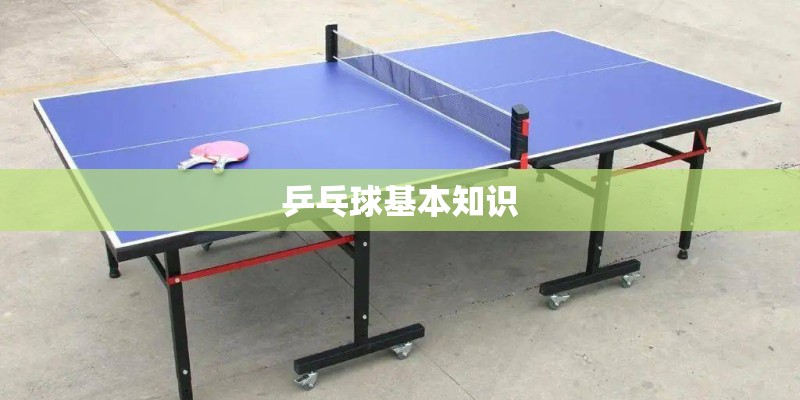 乒乓球基本知识
