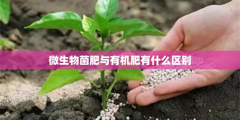 微生物菌肥与有机肥有什么区别