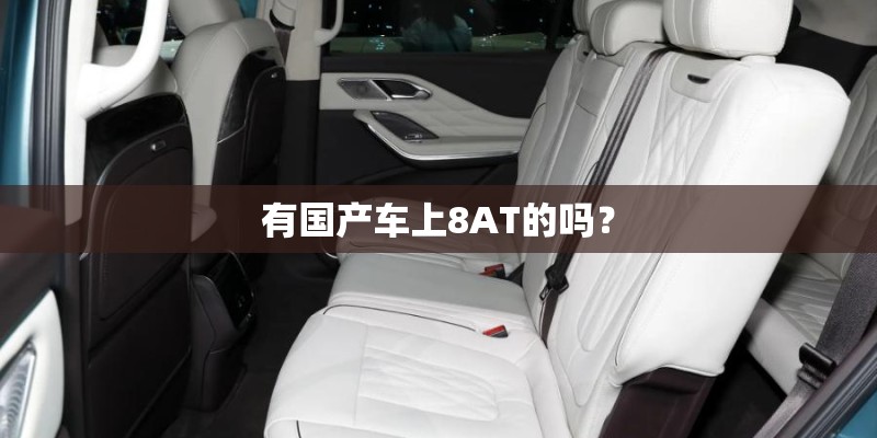 有国产车上8AT的吗？