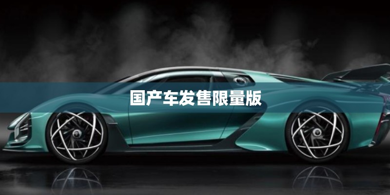 国产车发售限量版