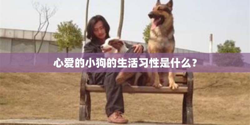 心爱的小狗的生活习性是什么？