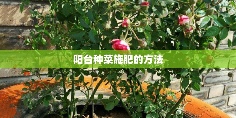 阳台种菜施肥的方法