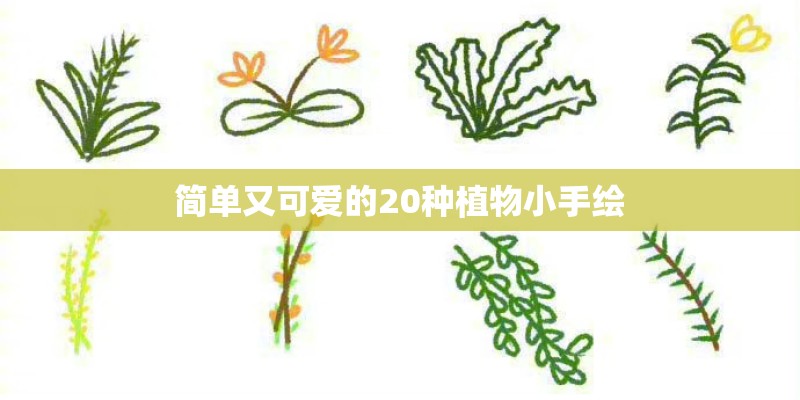 简单又可爱的20种植物小手绘