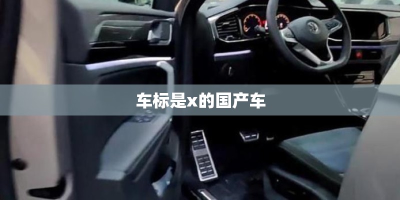 车标是x的国产车