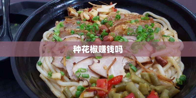 种花椒赚钱吗