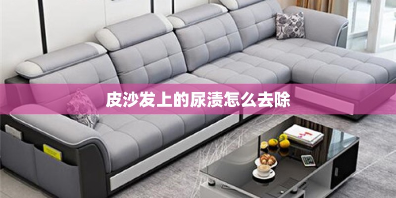 皮沙发上的尿渍怎么去除
