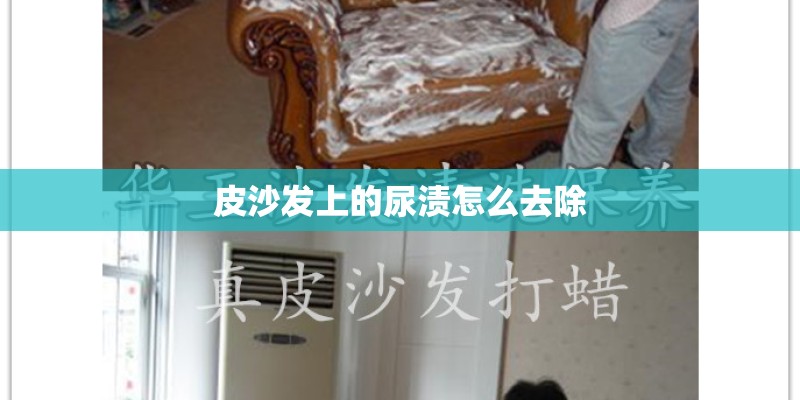 皮沙发上的尿渍怎么去除