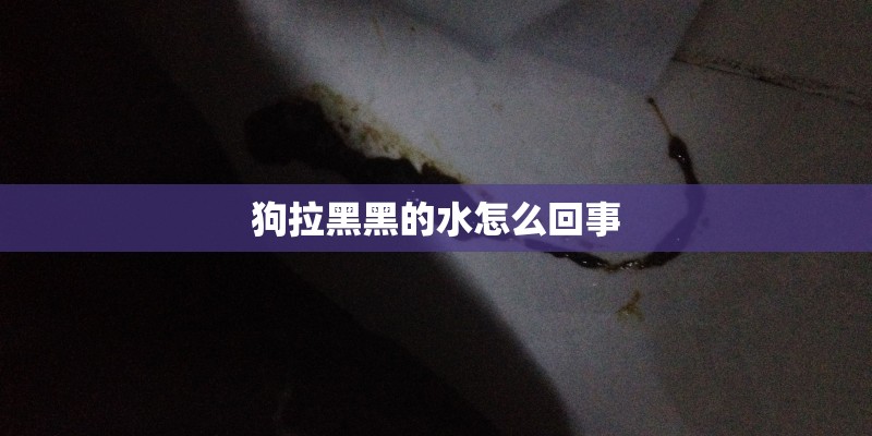 狗拉黑黑的水怎么回事