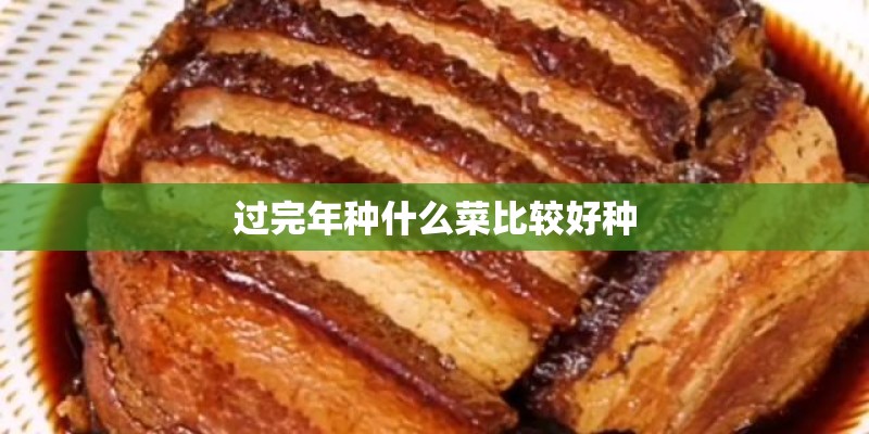 过完年种什么菜比较好种