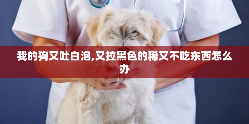 我的狗又吐白泡,又拉黑色的稀又不吃东西怎么办