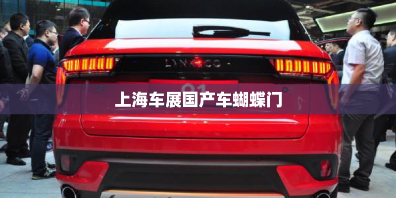 上海车展国产车蝴蝶门