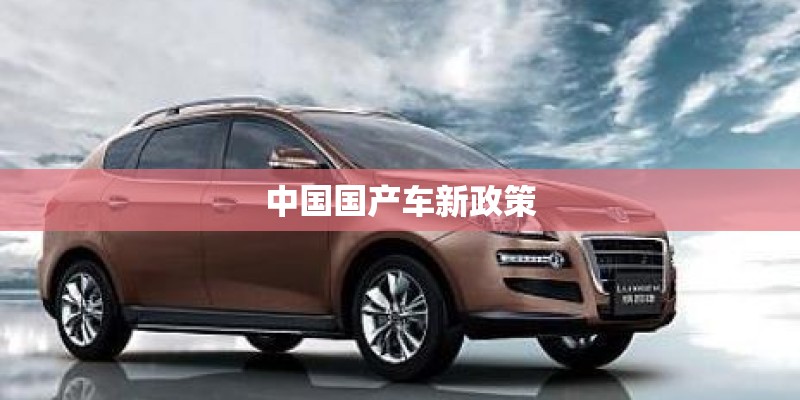 中国国产车新政策