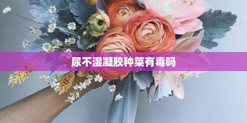 尿不湿凝胶种菜有毒吗