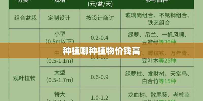 种植哪种植物价钱高