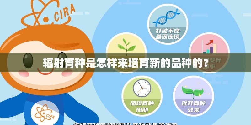 垂耳兔要怎么洗