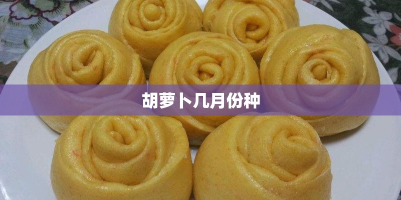 胡萝卜几月份种