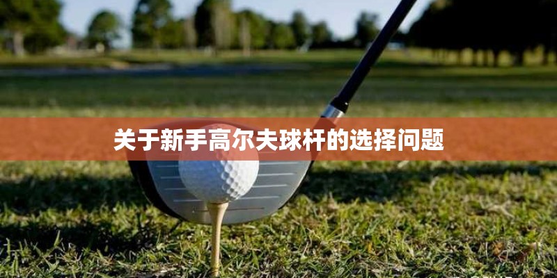 关于新手高尔夫球杆的选择问题