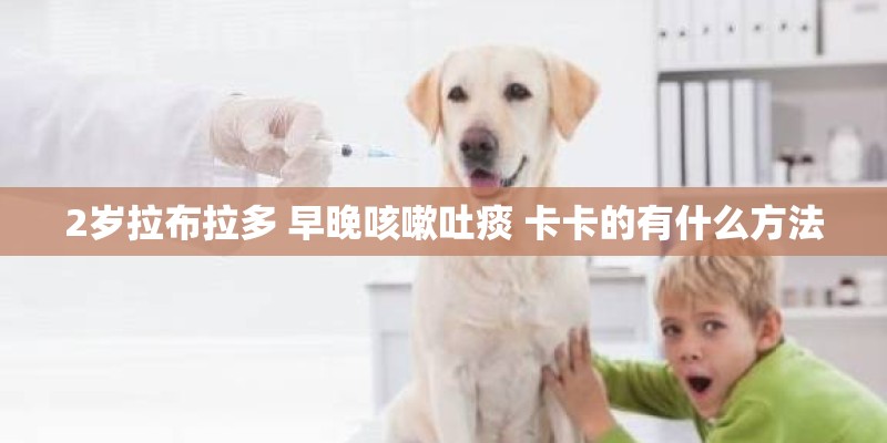 2岁拉布拉多 早晚咳嗽吐痰 卡卡的有什么方法 2岁拉布拉多 早晚咳嗽吐痰 卡卡的有什么方法