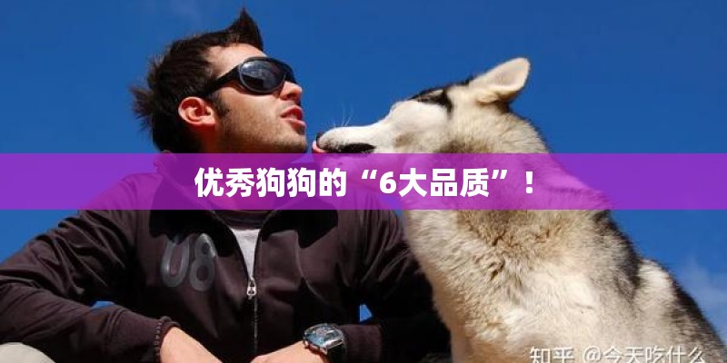 优秀狗狗的“6大品质”！