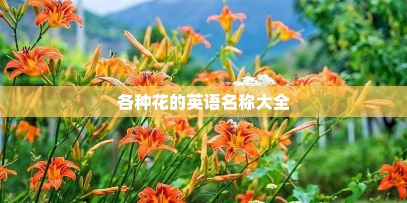 各种花的英语名称大全