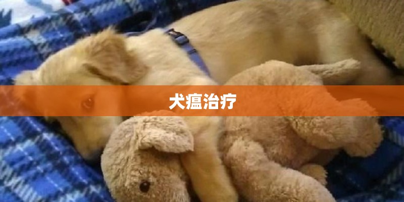 犬瘟治疗