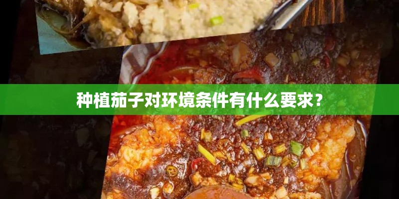 种植茄子对环境条件有什么要求？