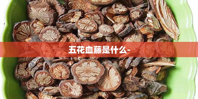 五花血藤是什么-