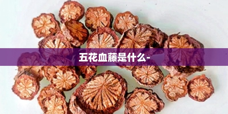 五花血藤是什么- 五花血藤是什么-