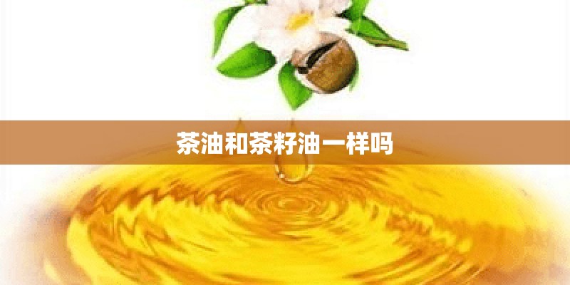 茶油和茶籽油一样吗 茶油和茶籽油一样吗