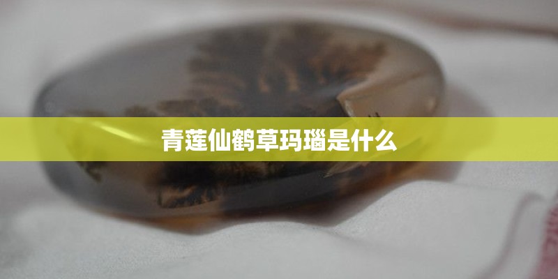 青莲仙鹤草玛瑙是什么