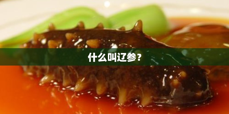 什么叫辽参？