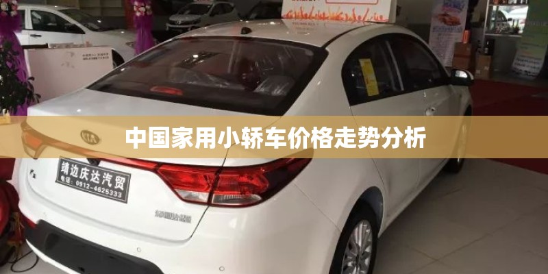 圣女果盆栽种植方法