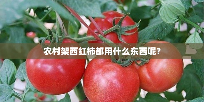 农村架西红柿都用什么东西呢？
