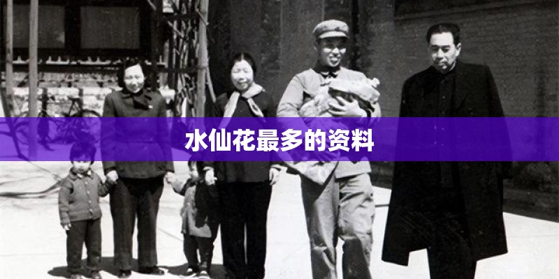 水仙花最多的资料