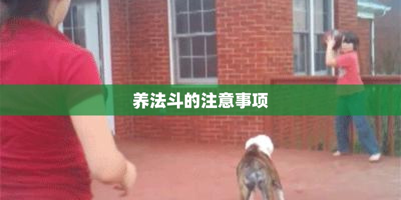 养法斗的注意事项