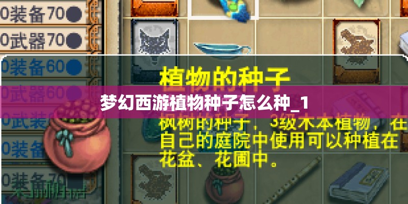 梦幻西游植物种子怎么种_1