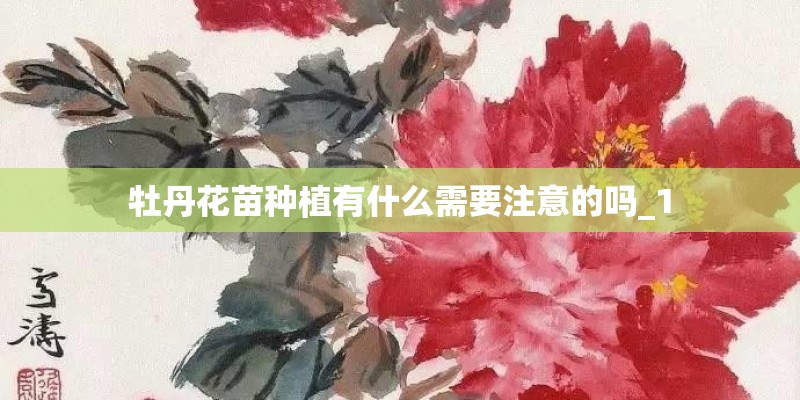 牡丹花苗种植有什么需要注意的吗_1