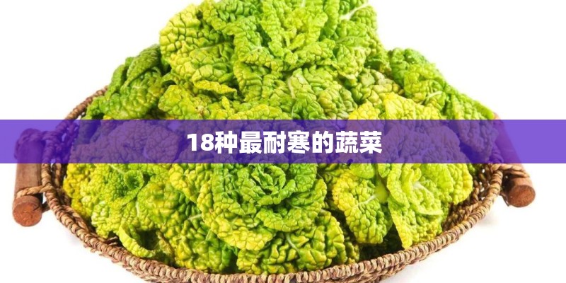 18种最耐寒的蔬菜