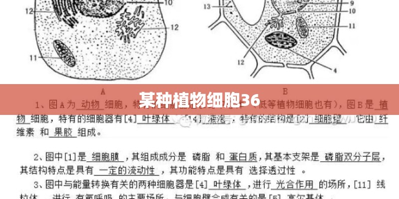 泰迪狗狗吃了打虫药以后几天都不吃饭了怎么回事-
